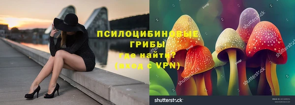 spice Бугульма